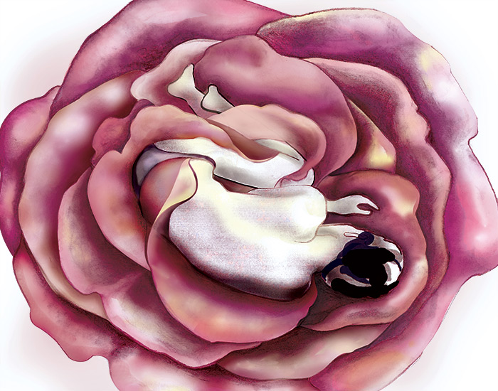 Thumbnail for Anias Nin Illustration project